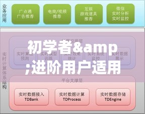 往年12月14日实时位置APP使用指南，初学者与进阶用户详细步骤操作手册