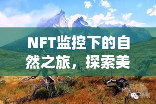 NFT监控下的自然探索之旅，追寻美景与内心宁静