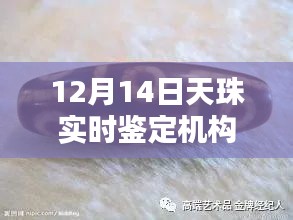 12月14日，天珠实时鉴定机构查询攻略——适合初学者与进阶用户