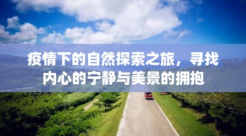 疫情下的自然探索之旅，心灵宁静与美景的交融