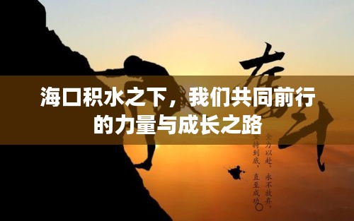 海口积水之下的前行力量与成长之路