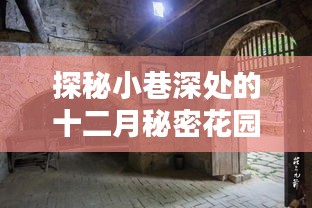 十二月秘密花园，小巷深处的隐藏式特色小店探秘