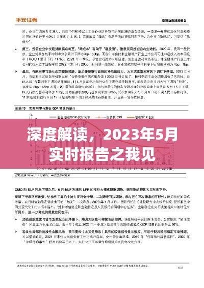 深度解读，我对2023年5月实时报告的观察与见解