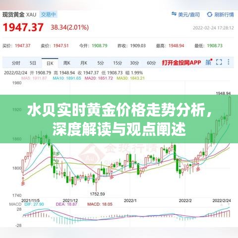 水贝实时黄金价格走势深度解析与观点阐述