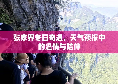 张家界冬日奇遇，天气预报里的温情与陪伴之旅