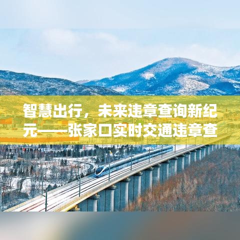 智慧出行时代，张家口实时交通违章查询系统重磅升级引领新纪元