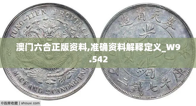 澳门六合正版资料,准确资料解释定义_W9.542