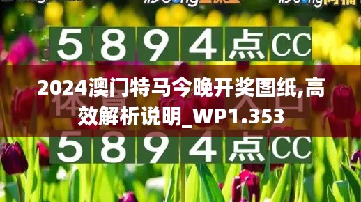 2024澳门特马今晚开奖图纸,高效解析说明_WP1.353