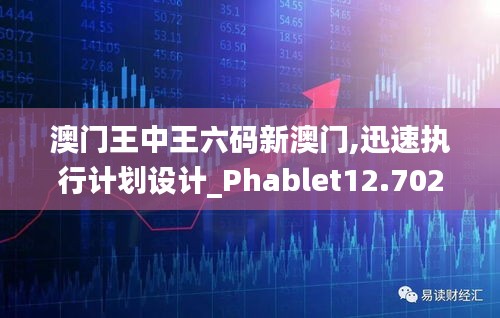 澳门王中王六码新澳门,迅速执行计划设计_Phablet12.702