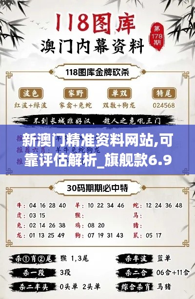 新澳门精准资料网站,可靠评估解析_旗舰款6.917