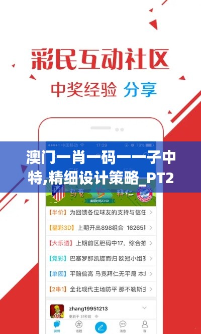 澳门一肖一码一一子中特,精细设计策略_PT2.563