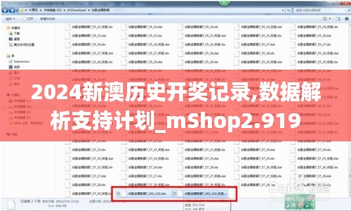 2024新澳历史开奖记录,数据解析支持计划_mShop2.919