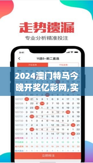 2024澳门特马今晚开奖亿彩网,实际数据说明_旗舰款4.803