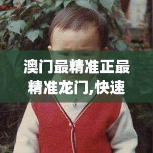 澳门最精准正最精准龙门,快速方案落实_投资版3.719