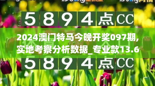 2024澳门特马今晚开奖097期,实地考察分析数据_专业款13.682