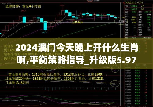 2024澳门今天晚上开什么生肖啊,平衡策略指导_升级版5.978