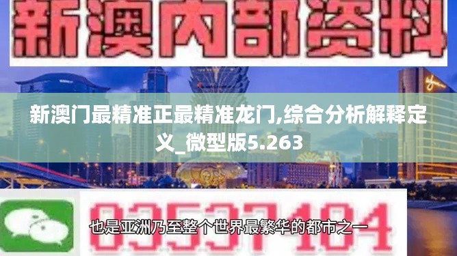 新澳门最精准正最精准龙门,综合分析解释定义_微型版5.263