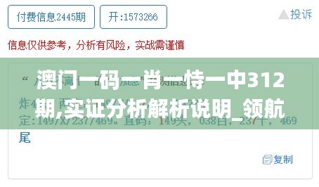 澳门一码一肖一恃一中312期,实证分析解析说明_领航款5.773