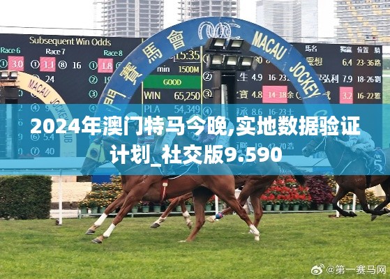 2024年澳门特马今晚,实地数据验证计划_社交版9.590
