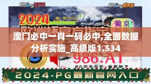 澳门必中一肖一码必中,全面数据分析实施_高级版1.534