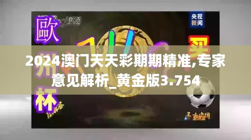 2024澳门天天彩期期精准,专家意见解析_黄金版3.754