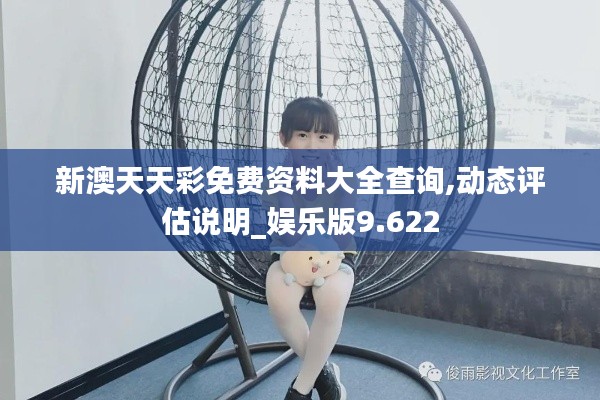 新澳天天彩免费资料大全查询,动态评估说明_娱乐版9.622