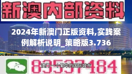 2024年新澳门正版资料,实践案例解析说明_策略版3.736