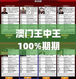 澳门王中王100%期期中,深入解答解释定义_战斗版7.374