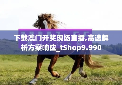 下载澳门开奖现场直播,高速解析方案响应_tShop9.990