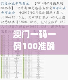 澳门一码一码100准确,现状分析解释定义_bundle10.436
