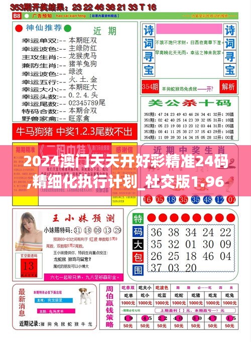 2024澳门天天开好彩精准24码,精细化执行计划_社交版1.967