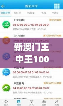 新澳门王中王100%期期中,实地验证方案策略_ios1.769