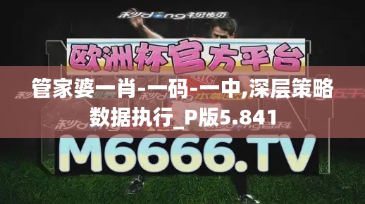管家婆一肖-一码-一中,深层策略数据执行_P版5.841