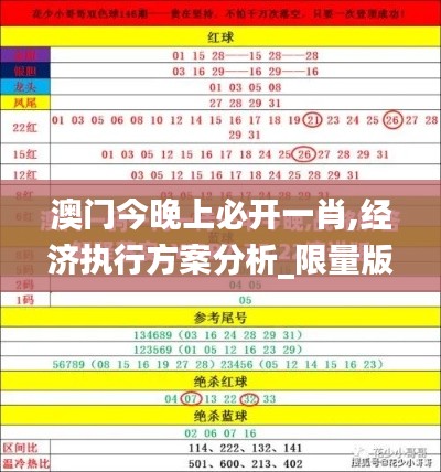 澳门今晚上必开一肖,经济执行方案分析_限量版10.271