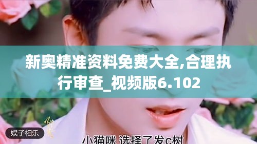 新奥精准资料免费大全,合理执行审查_视频版6.102