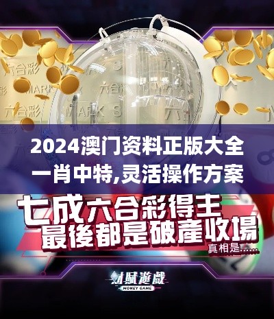2024澳门资料正版大全一肖中特,灵活操作方案设计_set6.728