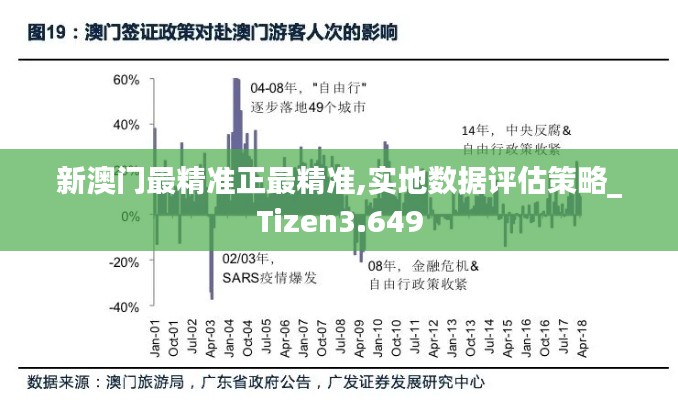 新澳门最精准正最精准,实地数据评估策略_Tizen3.649