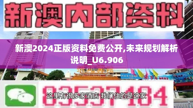 新澳2024正版资料免费公开,未来规划解析说明_U6.906