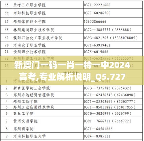 新澳门一码一肖一特一中2024高考,专业解析说明_Q5.727