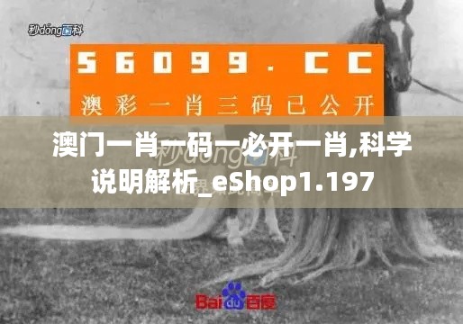 澳门一肖一码一必开一肖,科学说明解析_eShop1.197