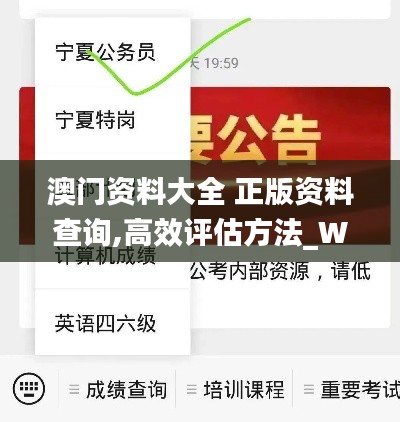 澳门资料大全 正版资料查询,高效评估方法_Windows16.481