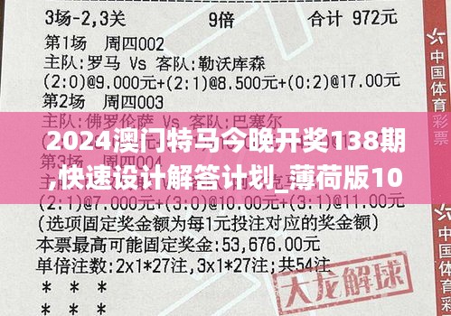 2024澳门特马今晚开奖138期,快速设计解答计划_薄荷版10.233