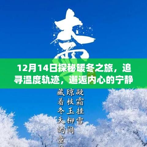 探秘暖冬之旅，追寻温度轨迹，邂逅自然魔法与内心宁静