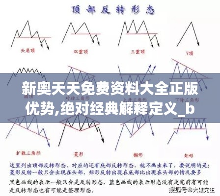 新奥天天免费资料大全正版优势,绝对经典解释定义_bundle8.310