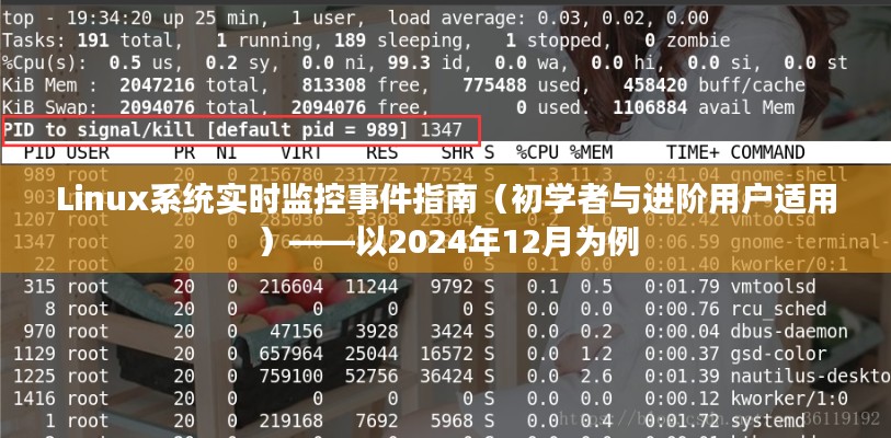 Linux系统事件实时监控指南，从初学者到进阶用户（以2024年12月为例）