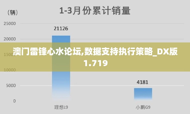 澳门雷锋心水论坛,数据支持执行策略_DX版1.719