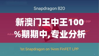 新澳门王中王100%期期中,专业分析解析说明_XP17.701