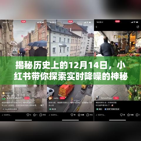 揭秘AU降噪技术，历史上的12月14日与实时降噪的神秘面纱深度解析（小红书版）