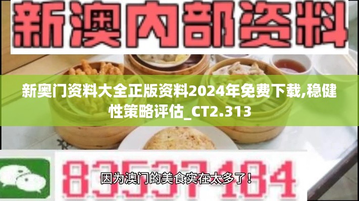 新奥门资料大全正版资料2024年免费下载,稳健性策略评估_CT2.313