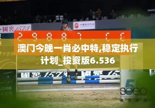 澳门今晚一肖必中特,稳定执行计划_投资版6.536